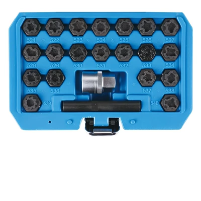 22-piece Volkswagen anti-theft screw Mühərrik tənzimləmə alətləri
