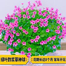 ���{�ݷN��t��ը�{���ļ��Nֲ���҃��������~���\�ݺ������N����