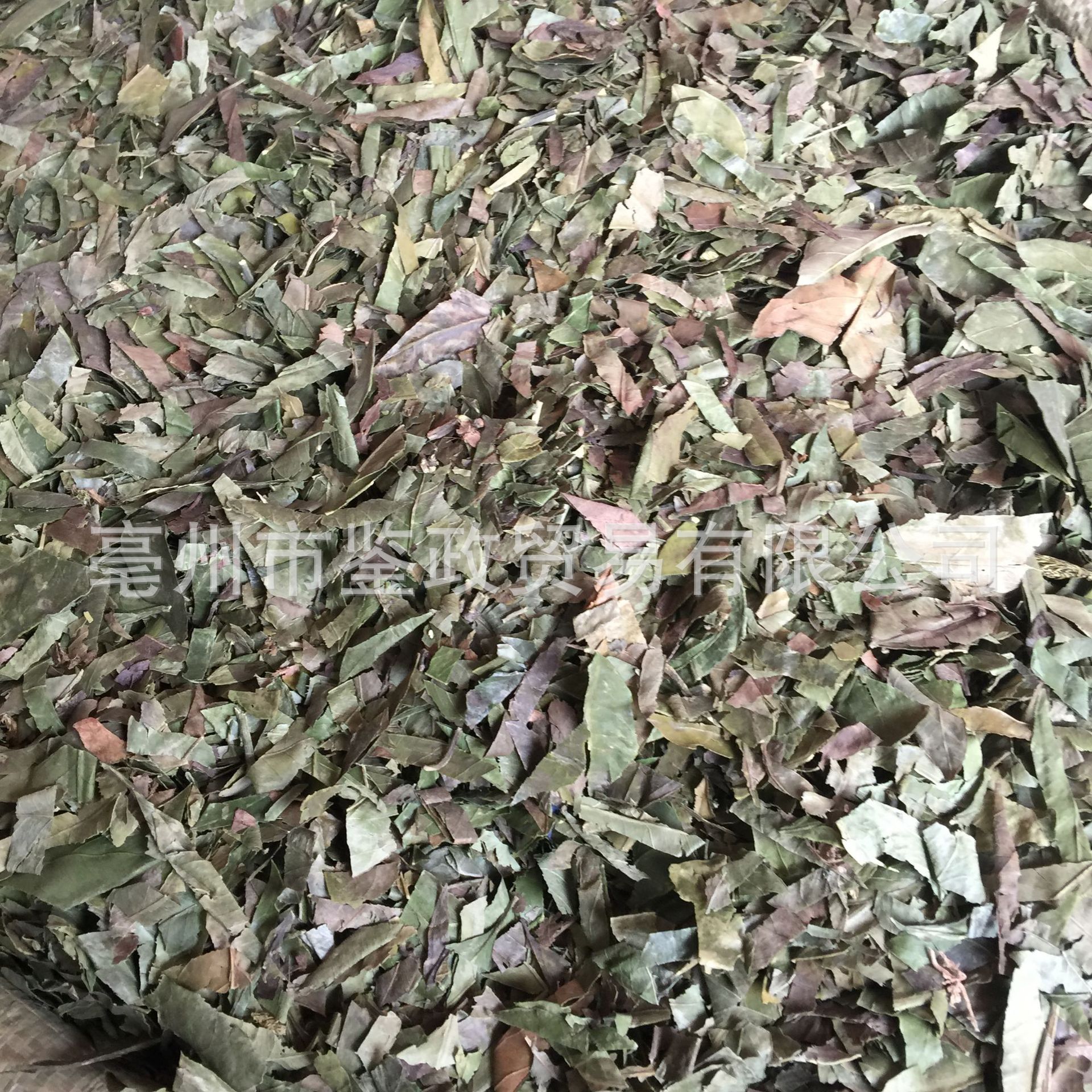 Dried Tangerine Leaf Ye Zi Loose Raw Herb 500g for Decoction and Tea specifications