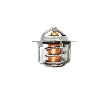 9091603078, Thermostat