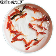 С���~���^�p�~��ˮ�ͻ���B�~��ˮ�t���\�����~С���~���~���~