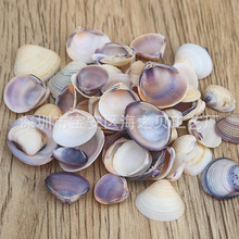 ��Ȼؐ������С�ϳ�ؐ΢���^Ư��ƿ��ˇ�Ʒ�ֹ�diy��̨�������l