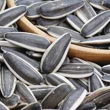 ɹŹrӱƤӳԭζشw؃rl