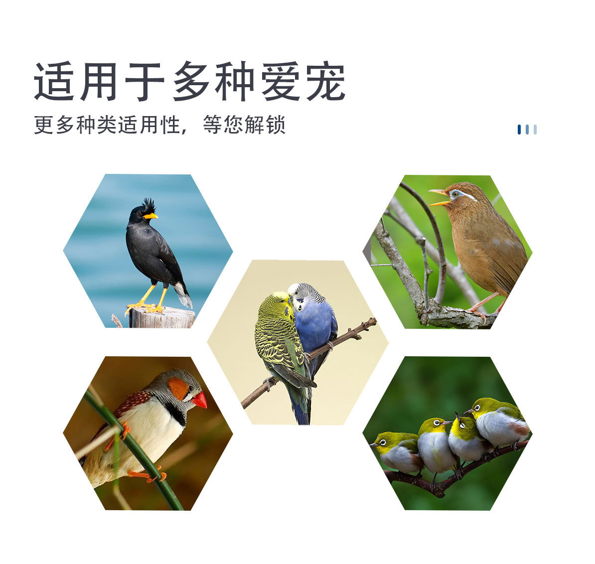 详情页_02.jpg