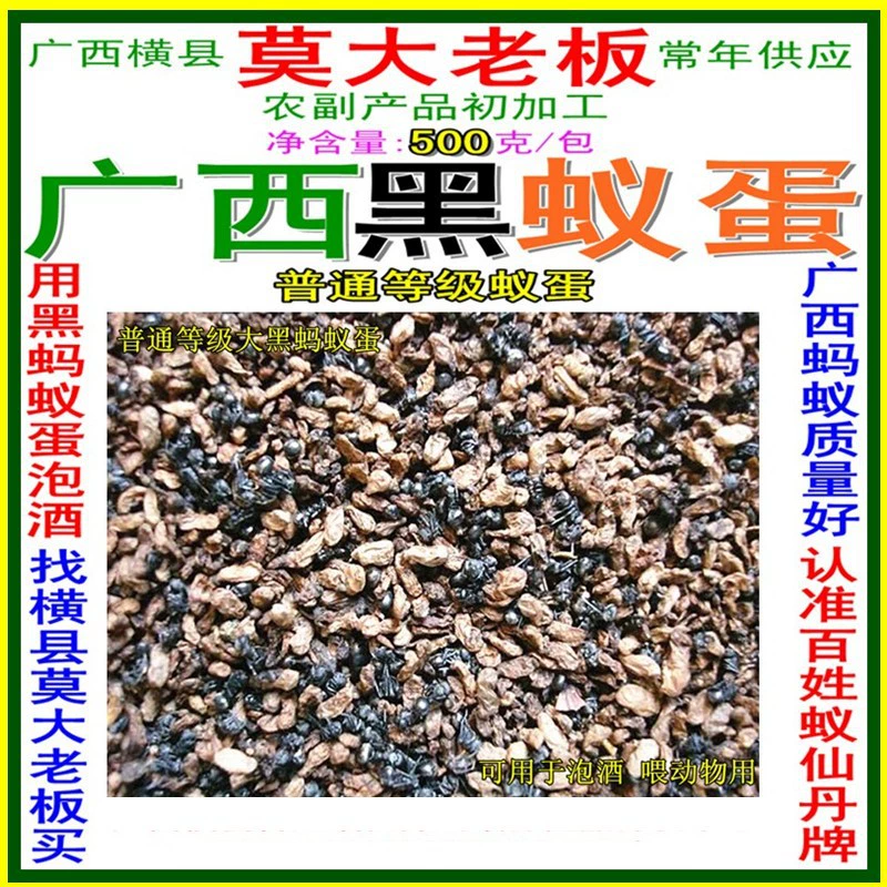 Простое муравейное яйцо муравья марки Ant с предполагаемым черным колючим фолликулярным вином муравья также можно использовать в качестве питательной добавки для кормления птиц