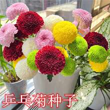 ƹ�ҾշN�����ջ��ױ����_�������ͺ����׷N�ļ��_���ԾGֲ����