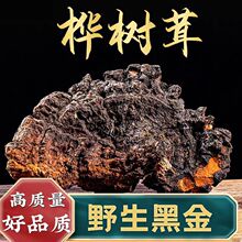 �����L��ɽ500gҰ������ײ�Ĺ�Ч�����úڽ��w���������у��x