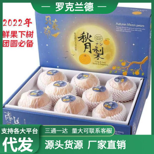 Подарочная коробка установлена ​​Laiyang Qiuyue Pear Fruet Gear Fresh 5 Catties of Fengshui Pear, сезонная полная коробка, хрустящая, сочная оптом