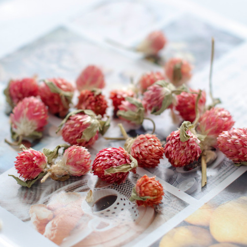 Meimuer diy handmade candles dried flowers wax gypsum natural rose particles immortalized flowers decoration