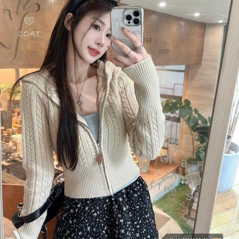 Leding~ Hooded Twist Knit Sweater Korean Style Elegant Old Money Style Arctic Velvet Thick Sweater Cardigan