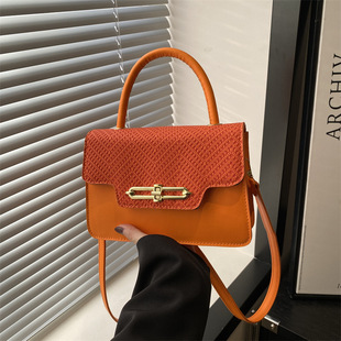 Cross-border Bag Women's 2025 Spring New High-end Sense Fashion Hard Shell Box Bag Cross-border Shoulder Crossbody Small Square Bag