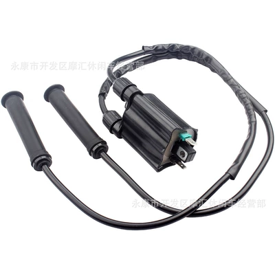 Alovlanma bobini (Babinalar) Vtx1300 R/T/S/C 2004-09