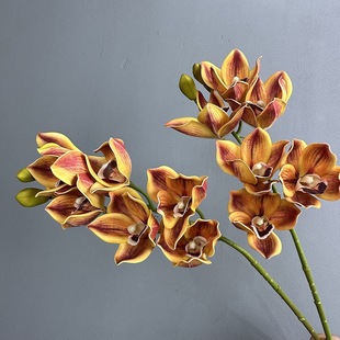 ������z��6�^ޥ�m�����m�m�� �p���L�ҾӘӰ��g�Ƶ��c�bzӰ