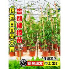 ����������S��J�۾�̖�������~������޽������ļ�����ˮ������