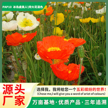 u˻Nļ_ͥԺNֲҊͻԻܷN