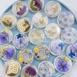 Dried flower drop glue airbag transparent mobile phone bracket round swallow flower mobile phone telescopic bracket New