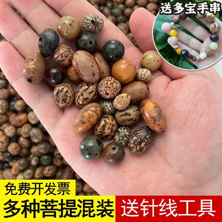 多种菩提混装半斤批发天然菩提子金刚凤眼龙眼无患子风化根|undefined
