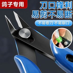 �W�^���Ӽ��_�h������h�Q�B���ü��_��Q�����_�h�Q��ِ�����h��