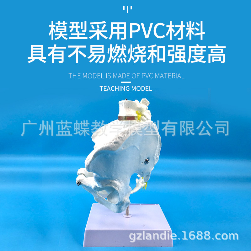 ��Ȼ�����Թ����������׵��ģ�� ���� ��׵β׵ģ�� ��׵ģ��