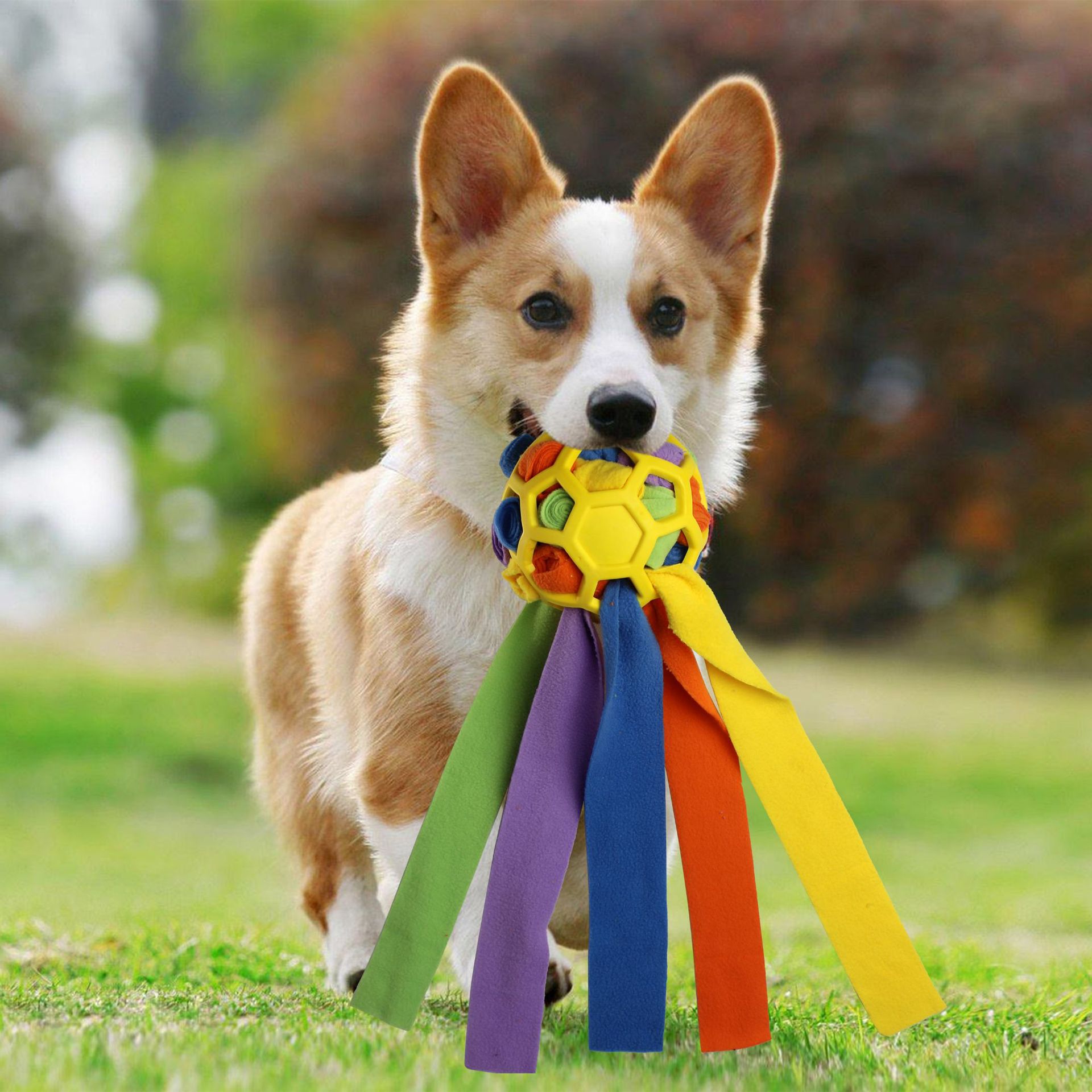 Haustierspielzeug, Schnüffelbälle für Haustiere, Blindbox für das interaktive Training mit Futterleckage für Hunde_voghion.com