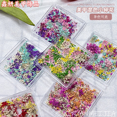 ネイルアート用ドライフラワー装飾、小さな花びらネイルデコレーション、本物の花の装飾、ミックスカラーの本物のレースフラワー、ネイルアート用小物