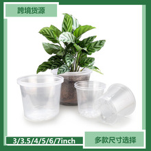 ����ˮ�׵�͸�����ϻ���͸��Ʒ�N�������҃����Ի��@��N����ʼ��