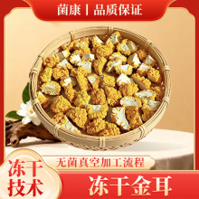 云南特产野生菌冻干金耳 金耳干货云南金耳源头工厂黄金耳菌煲汤