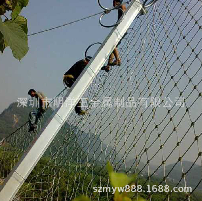 深圳明洋 定Z边坡防护网 柔性钢丝绳网斜坡防落石 被动防护网可DZ