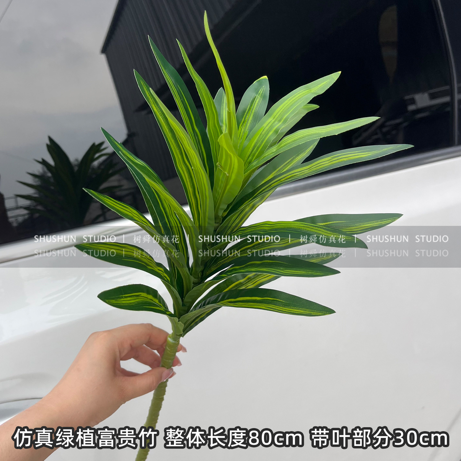 Bambú de lirio individual-verde (pequeño)