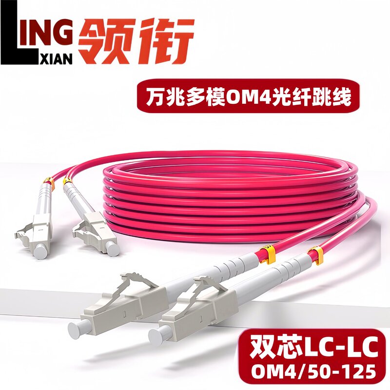 Multi-Mode 10g Om4 Fiber Optic Patch Cord Lc/Sc/Fc Pigtail Dual-Core Patch Cord 1/2/3/10m Optical Module Patch Cord