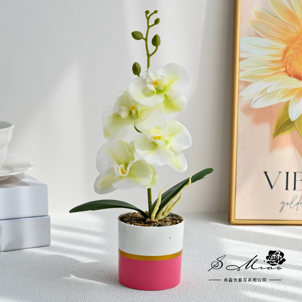 4 flores se sienten Phalaenopsis bonsái simulación de moda maceta flores falsas decoración del hogar fotografía de flores artificiales flores de bodas pequeñas image 5