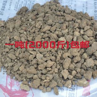 �������໨���˹�����������~���Nֲ�������|����