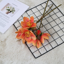 阿根廷高档木棉花仿真花客厅落地花绢花批发玉兰花英雄花中式假花