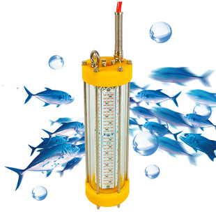 �S��ֱ�N12V100W�t����~��ˮ�¼��~�������ͼ��~���W���Bֳ��
