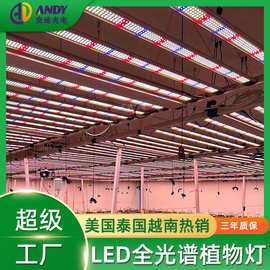 植物灯1000瓦4x6ft大棚grow lights美国加拿大1米8植物生长补光灯