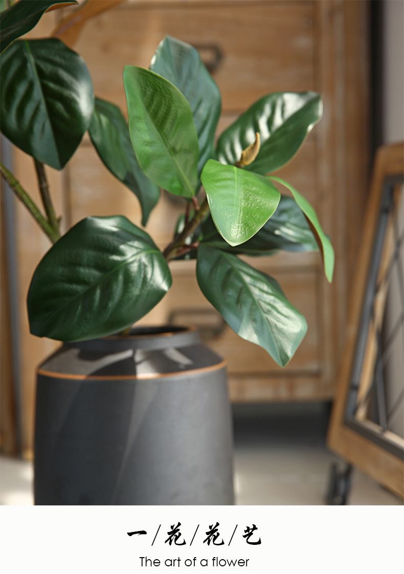 1玉兰叶_11.jpg