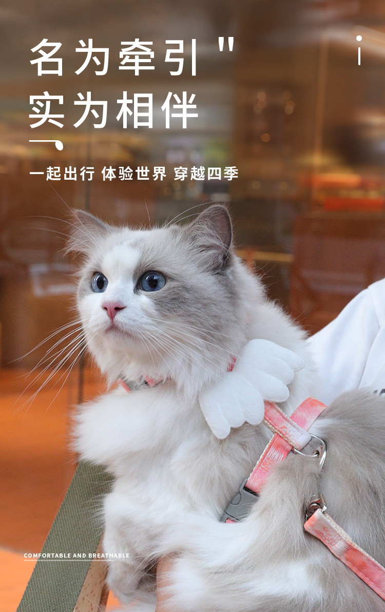 宠物翅膀款胸背带---副本_05