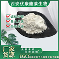 食品级EGCG98%总儿茶素现货直发98%绿茶提取物茶多酚