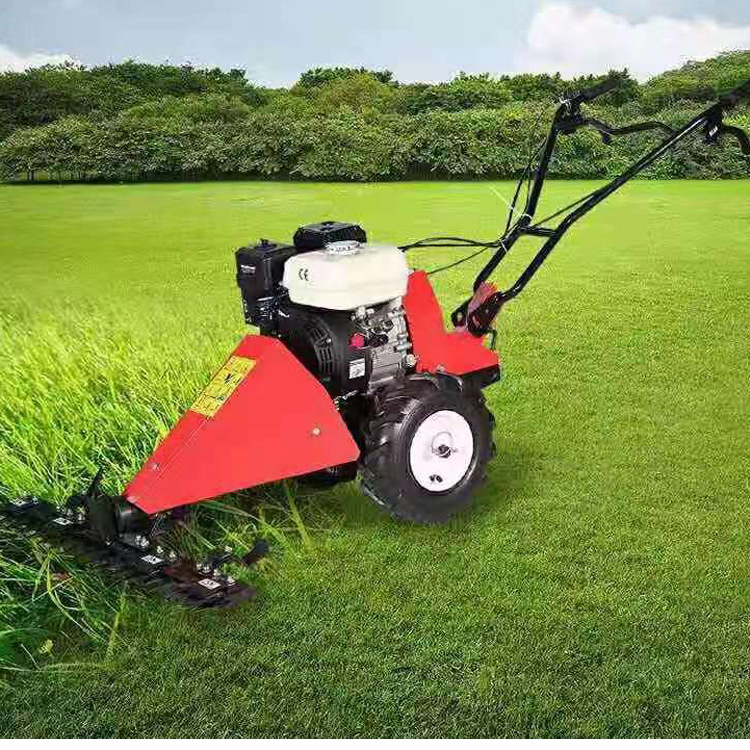 牧草汽油剪草机 80cm宽手推除草机 园林荒草割草机