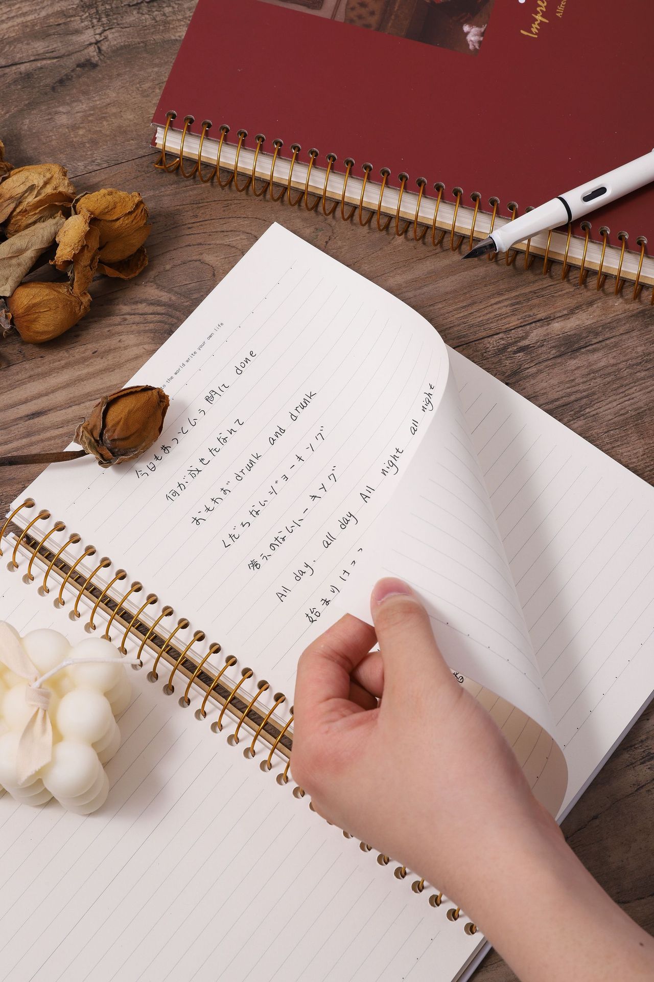 5347     16K横线线圈本（海岸小镇的傍晚）  (2