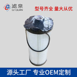专供FF63046NN FF63046燃油滤清器适配于福田GTL康明斯ISG滤清器