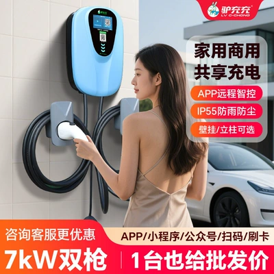 Elektrikli avtomobil şarj cihazları Commercial Use, Fast and Slow Charging, Dual