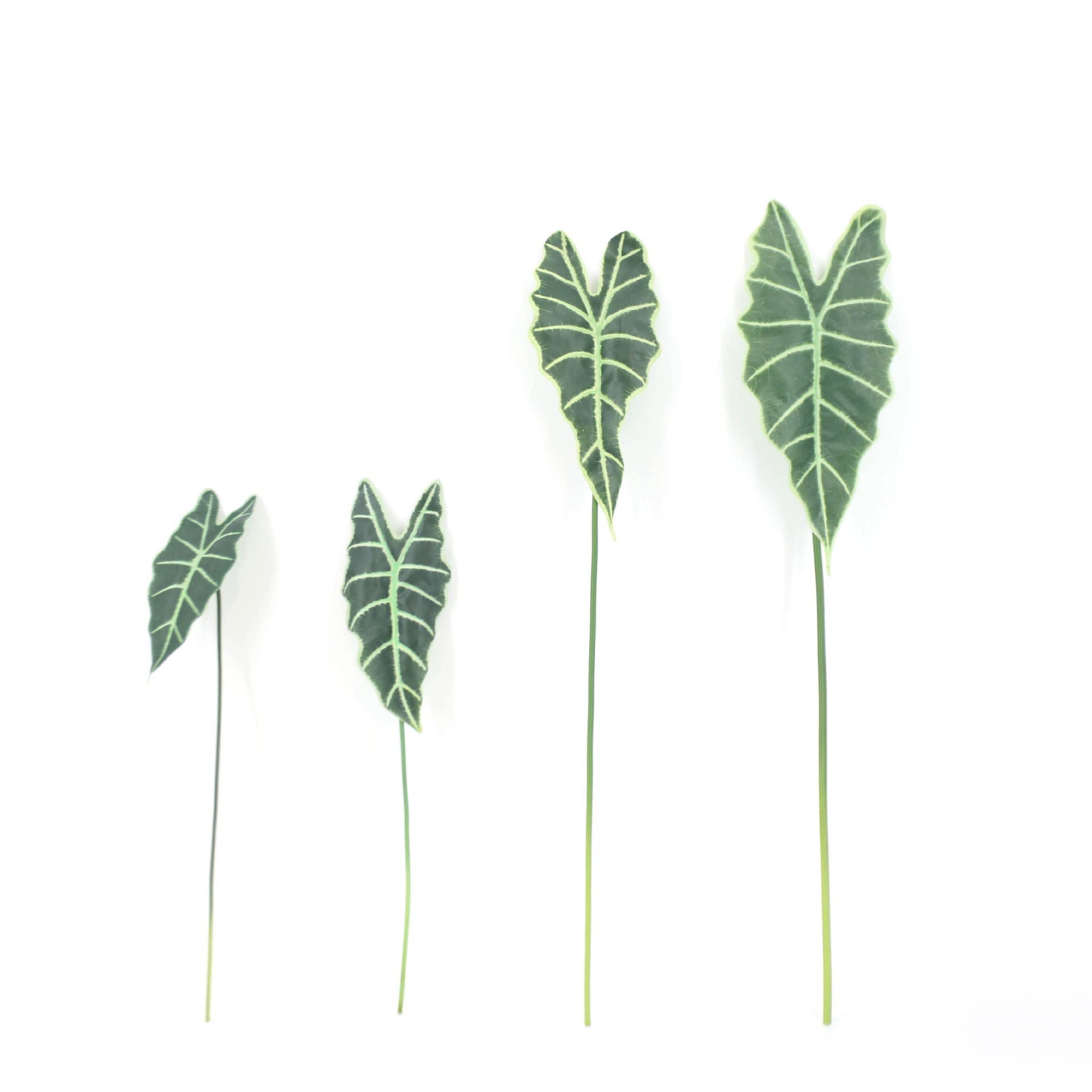 Simulation Leaf Guanyin Lotus Leaf Plant Wall Waterfront Material Flower Flower Art Design Leaf Decoration Flower Taro Leaf