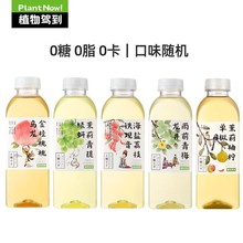 ֲ{00ζϽả}֦500ml