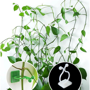 �G�}�̶�������ֲ��Gֲ�������������h늾��̶����������͹̶��A