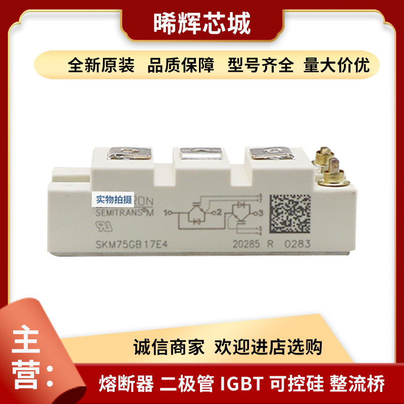 SKM75GB17E4 SKM75GB174D  IGBT模块标准封装全新原装现货