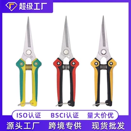 修枝剪;办公剪刀;厨用剪刀