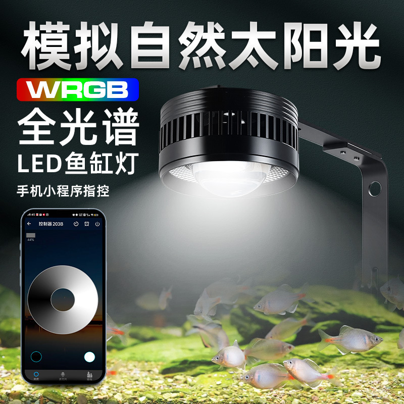 Factory Direct Sale Fish Tank Light for Native Stream Tanks, Full Spectrum Aquatic Plants, Algae Explosion Prevention, Specialized for Viewing, Wrgb Fish Tank Light Tube