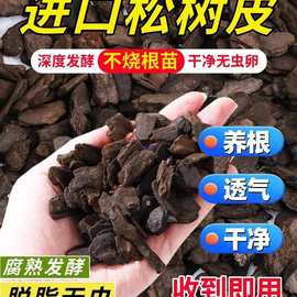 原装进口腐熟松树皮发酵松鳞兰花植料颗粒土覆盖物石斛垫材铺面
