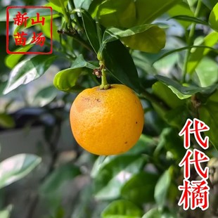 �������硿�����۲����rʳ�ݲ�һ�������������ø����Ә���